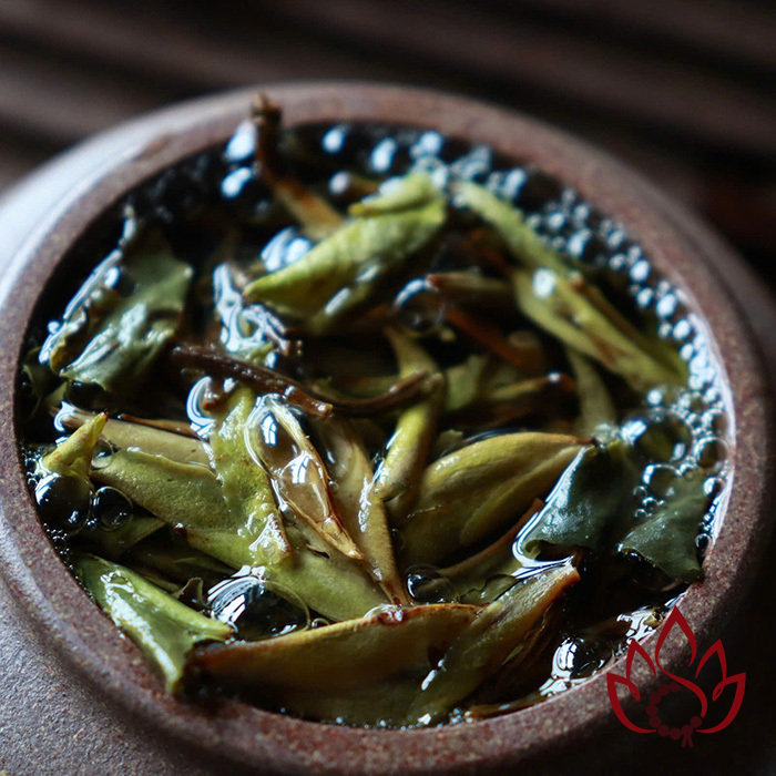 Bạch Trà Cổ Thụ Hoang Dã Vân Nam | 100 gram